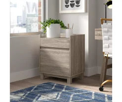 Margo Gray 2-Drawer Filing Cabinet -Biglots Sales 810386285 A8 11