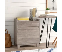 Margo Gray 2-Drawer Filing Cabinet -Biglots Sales 810386285 A8 12