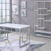Alize White & Chrome Geometric Bookcase