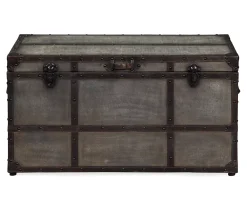 Amsel Gray Storage Trunk -Biglots Sales 810458018 3
