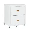 Kari White 2-Drawer Rolling Filing Cabinet