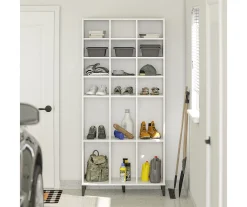 Systembuild Amplus Shoe Storage Cabinet 16 Systembuild Amplus Shoe Storage Cabinet -Biglots Sales 810591240 6