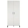 Systembuild Amplus 2-Door Storage Cabinet