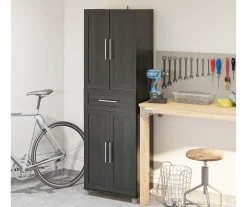 System Build Evolution Camberly Storage Cabinet -Biglots Sales 810597740 6