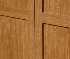 Sauder 2-Door Storage Cabinet -Biglots Sales 810610206 A0 6